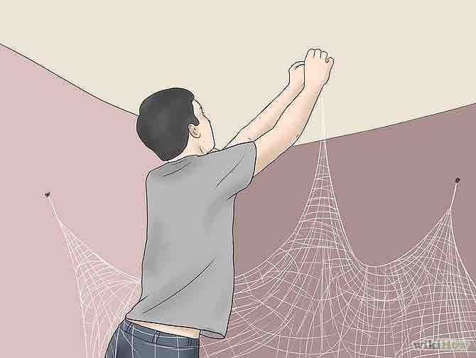 Imagen titulada Make a Spider Web Step 5