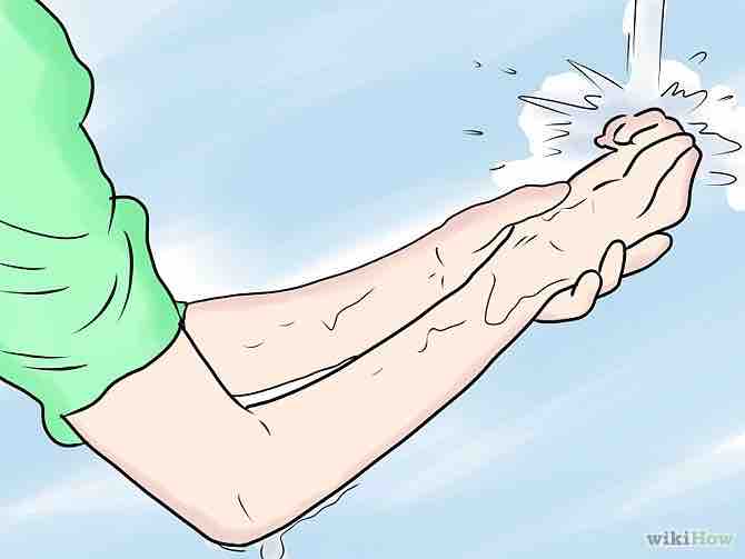 Imagen titulada Perform Ablution (in Islam) Step 7