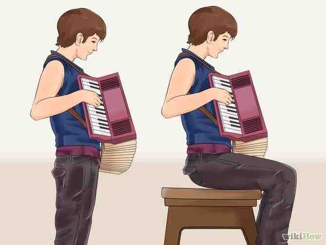 Imagen titulada Play the Accordion Step 5