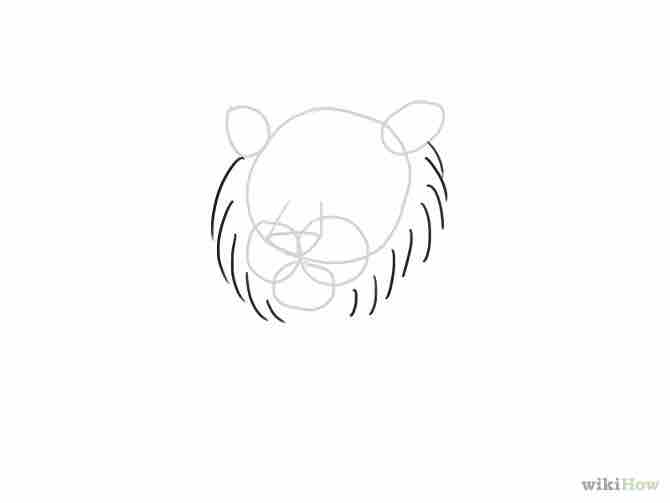 Imagen titulada Draw a Tiger Step 5