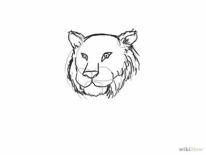 Imagen titulada Draw a Tiger Step 7