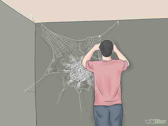 Imagen titulada Make a Spider Web Step 19