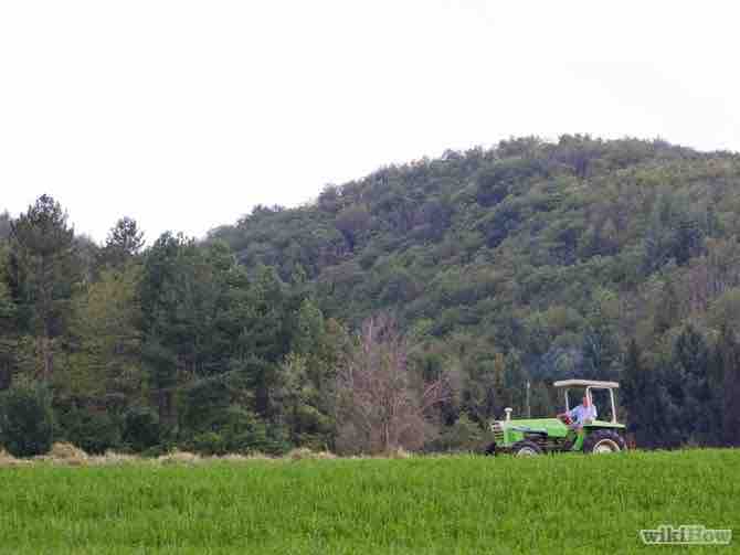 eliminar la mala hierba en el huerto