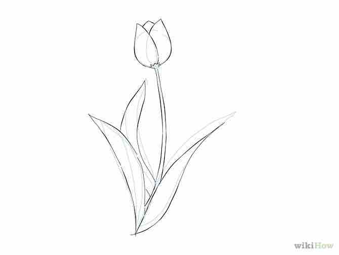 Imagen titulada Draw a Flower Step 14