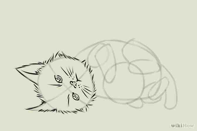 Imagen titulada Draw a Kitten Step 14