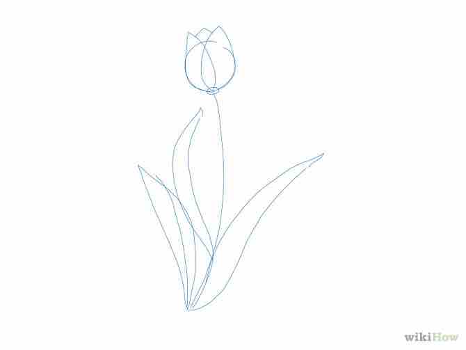 Imagen titulada Draw a Flower Step 12