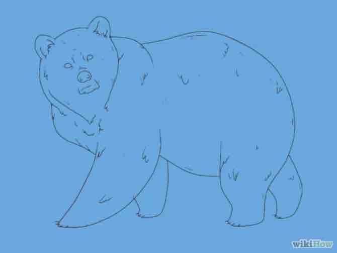 Imagen titulada Draw a Bear Step 25