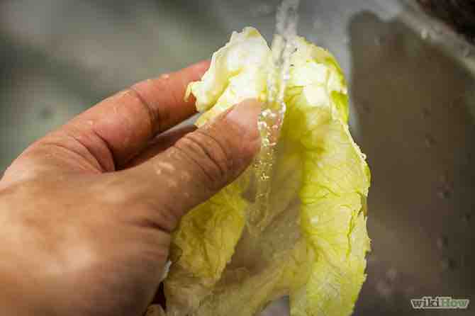 Imagen titulada Wash Lettuce Step 6