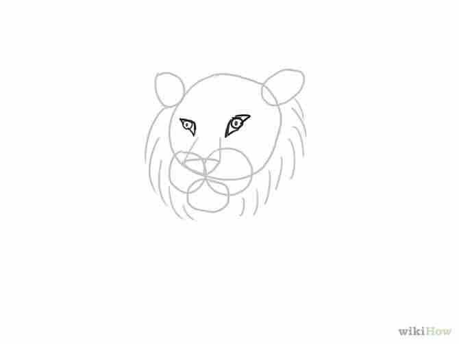 Imagen titulada Draw a Tiger Step 6