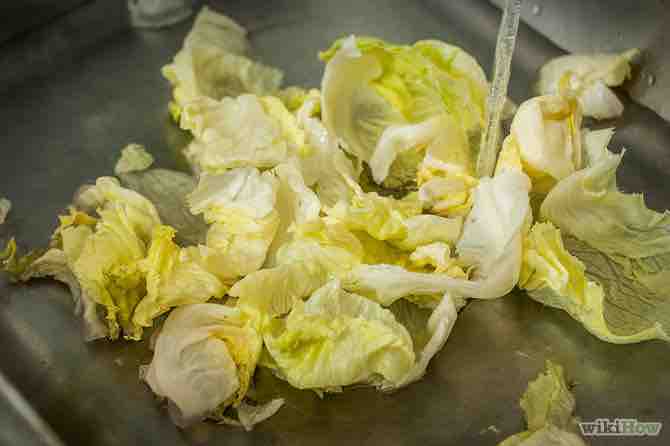 Imagen titulada Wash Lettuce Step 4