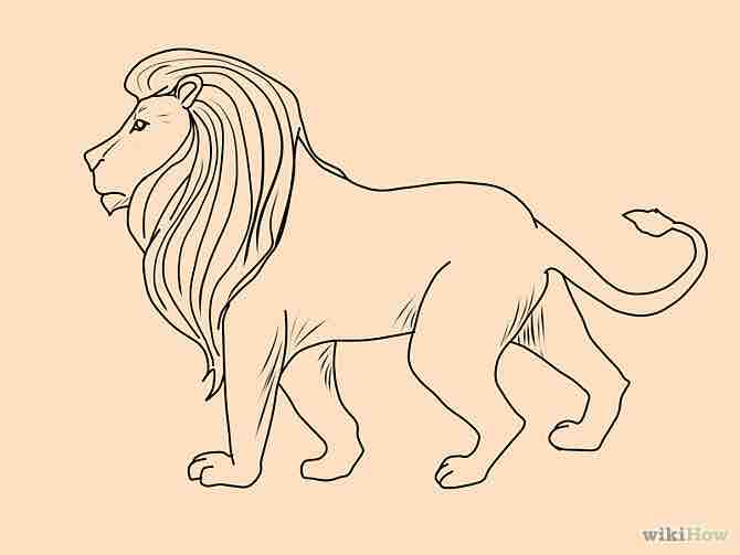 Imagen titulada Draw a Lion Step 7