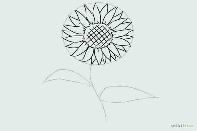 Imagen titulada Draw a Flower Step 16