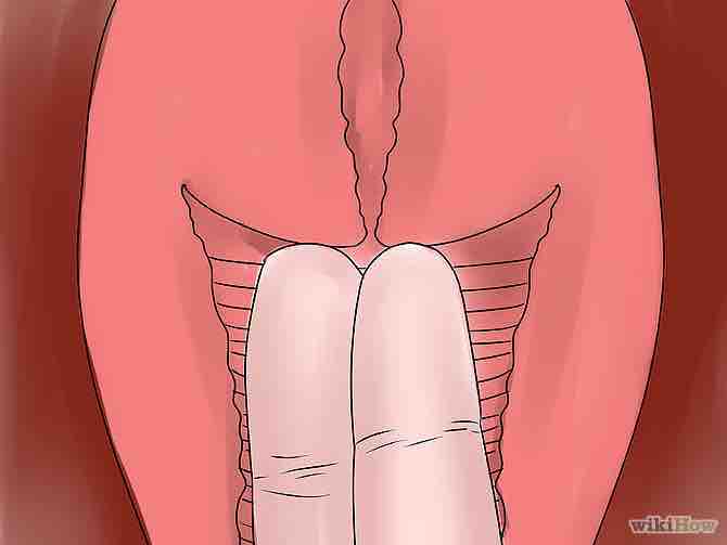 Imagen titulada Feel Your Cervix Step 5