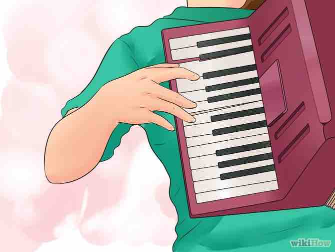 Imagen titulada Play the Accordion Step 8