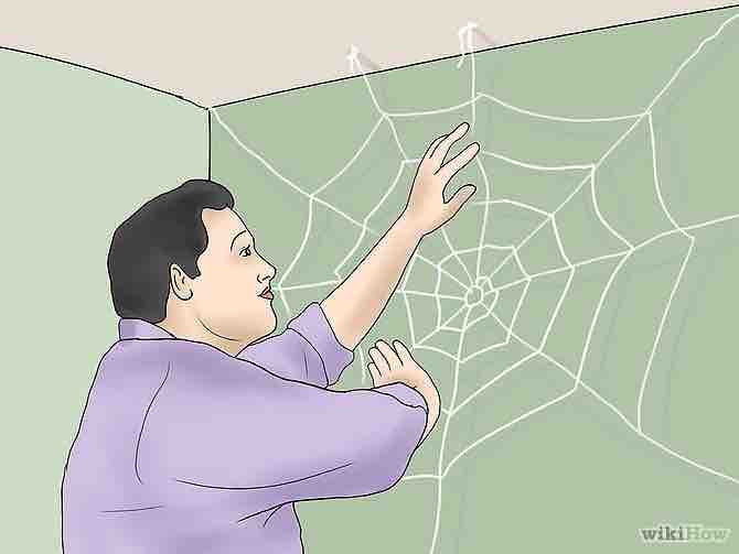 Imagen titulada Make a Spider Web Step 14