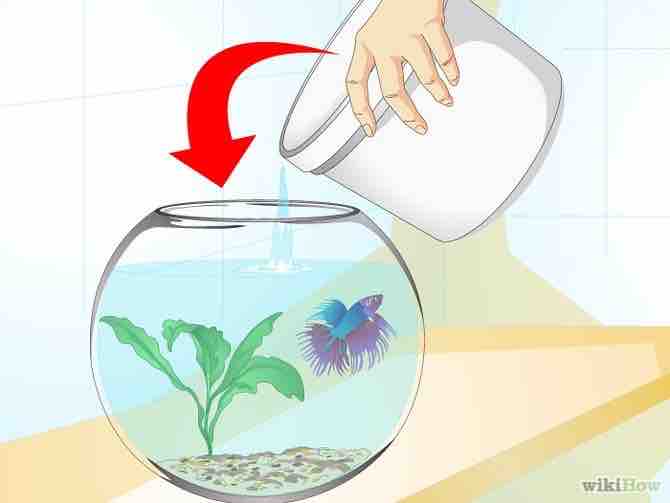 Imagen titulada Clean a Fish Bowl Step 16