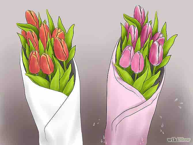 Imagen titulada Care for Fresh Cut Tulips Step 2