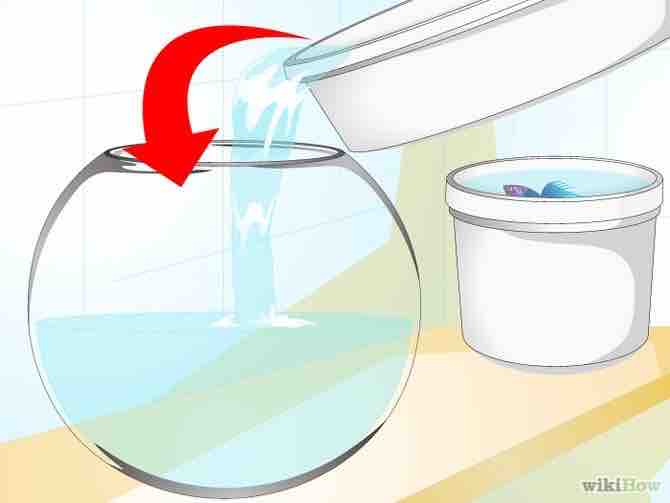 Imagen titulada Clean a Fish Bowl Step 13