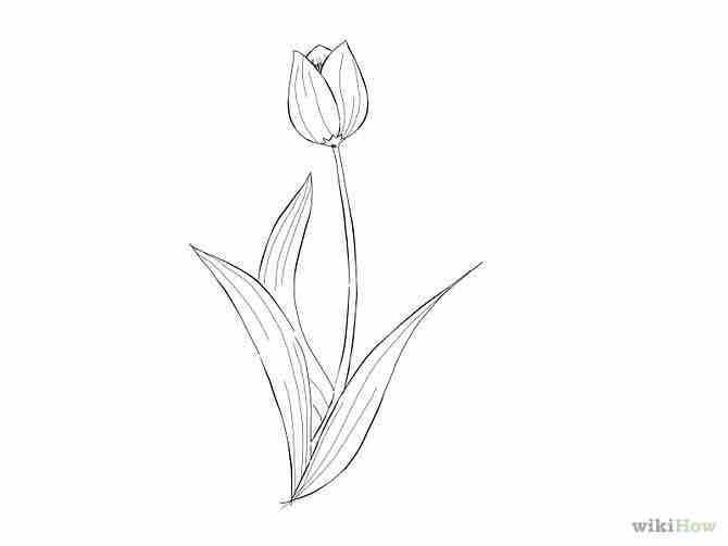 Imagen titulada Draw a Flower Step 15