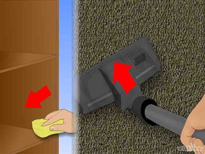 Imagen titulada Get Rid of Ticks Around Your Home Step 3