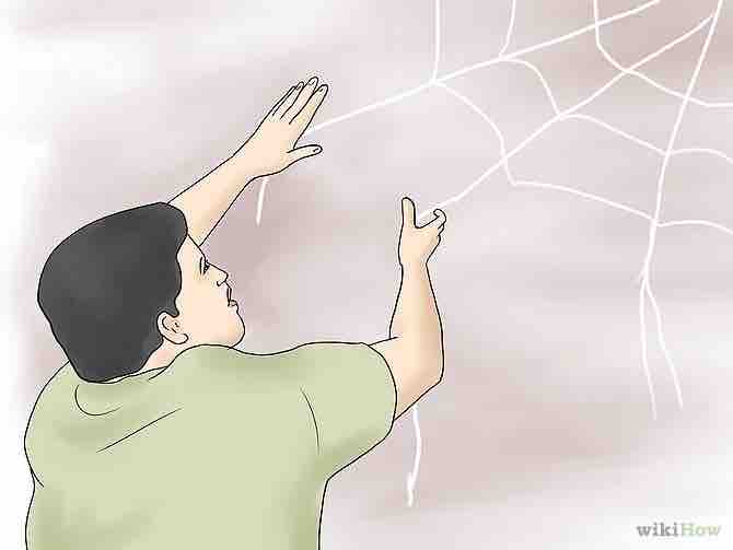 Imagen titulada Make a Spider Web Step 12