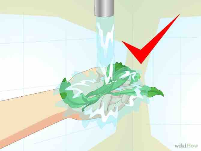 Imagen titulada Clean a Fish Bowl Step 12