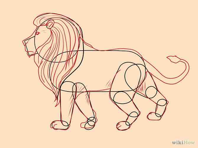 Imagen titulada Draw a Lion Step 6