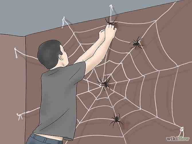 Imagen titulada Make a Spider Web Step 15