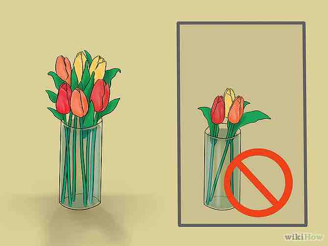 Imagen titulada Care for Fresh Cut Tulips Step 8