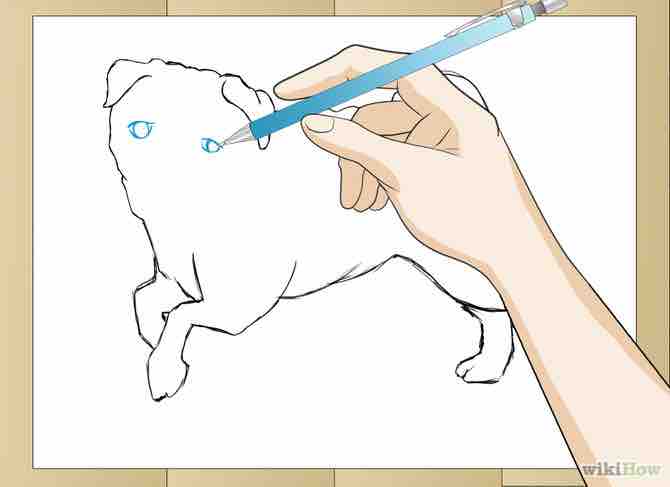 Imagen titulada Draw a Pug Dog Step 3