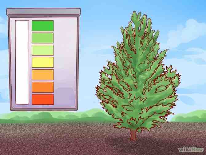 Imagen titulada Lower Soil pH Step 9