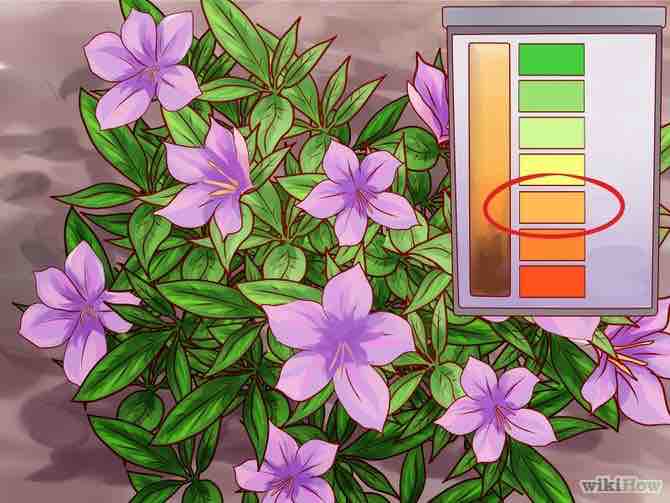 Imagen titulada Lower Soil pH Step 7