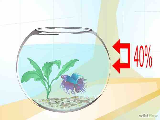 Imagen titulada Clean a Fish Bowl Step 1