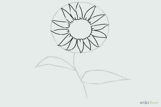 Imagen titulada Draw a Flower Step 14