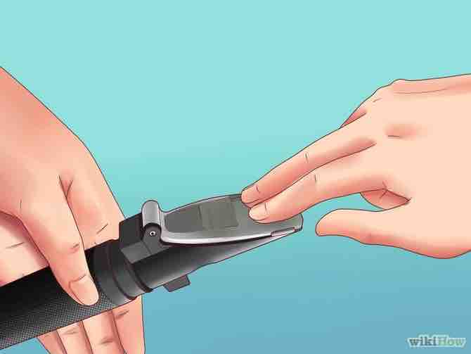 Imagen titulada Measure Salinity Step 5