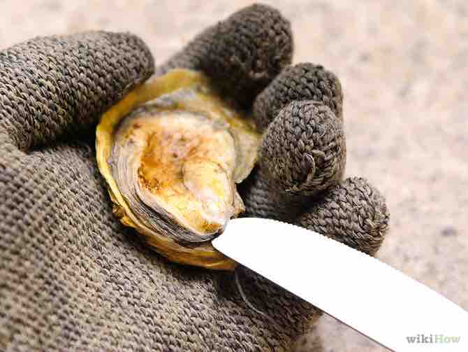 Imagen titulada Shuck Oysters Step 7