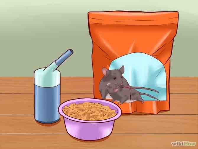 Imagen titulada Care for Baby Mice Step 10