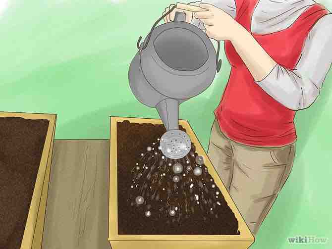 Imagen titulada Start a Vegetable Garden Step 7