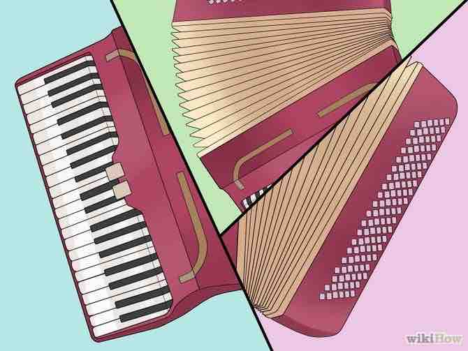 Imagen titulada Play the Accordion Step 2