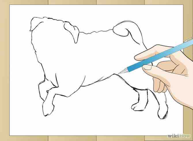 Imagen titulada Draw a Pug Dog Step 2