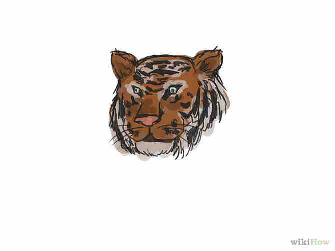 Imagen titulada Draw a Tiger Step 10