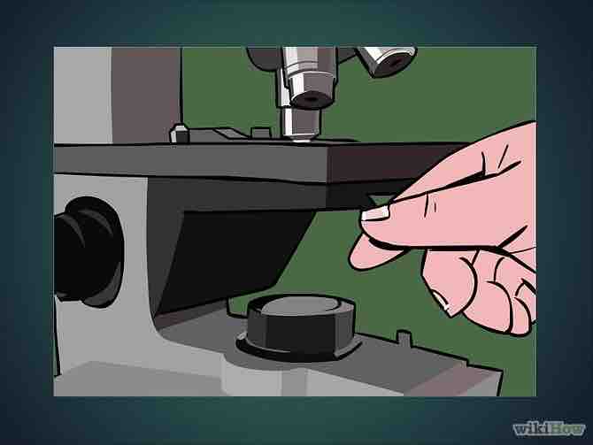 Imagen titulada Use a Microscope Step 17