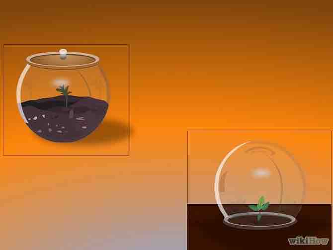 Imagen titulada Make a Mini Greenhouse Step 7