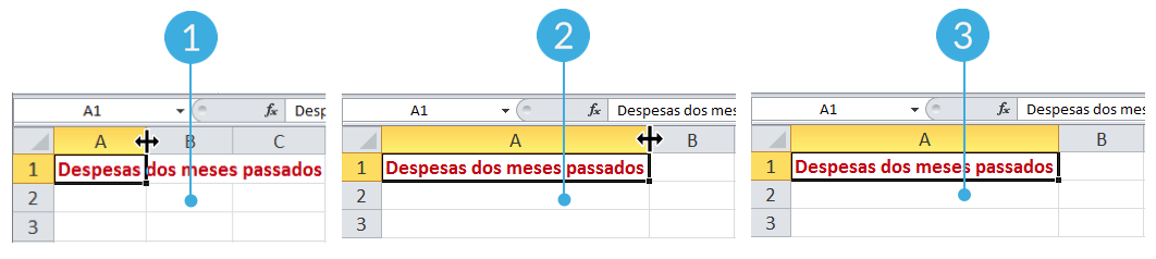 Passos para mudar o tamanho da coluna