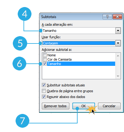 Exemplo de imagem dos passos 4, 5, 6 e 7 para agrupar dados em subtotais no Excel 2010.