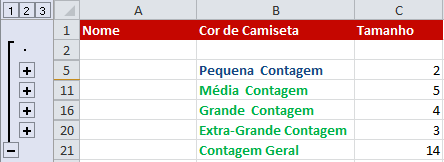 Exemplo de imagem de uma planilha com o nível intermediário selecionado ao trabalhar com dados já organizados no Excel 2010.