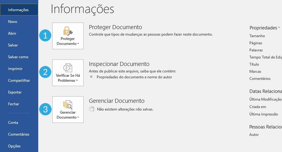 Painel principal guia Informações.