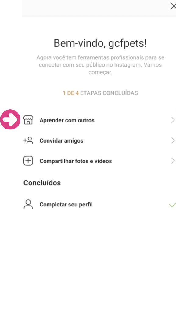 imagem 8 - como completar a bio do seu perfil do Instagram