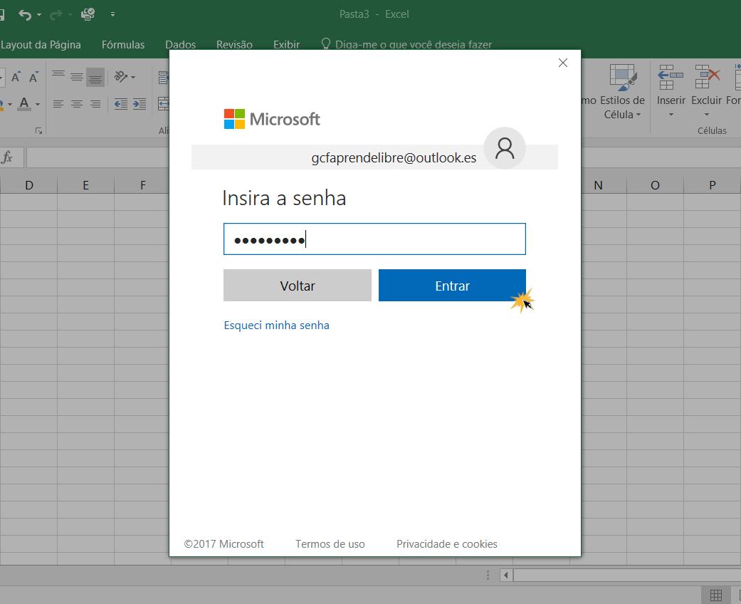 Passo 3 onde informamos a senha e clicamos em entrar.