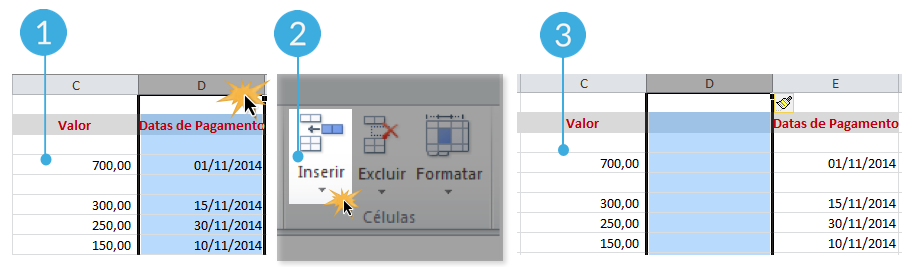 Passos para inserir colunas